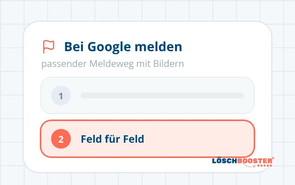 Meldeweg bei Google, Feld für Feld